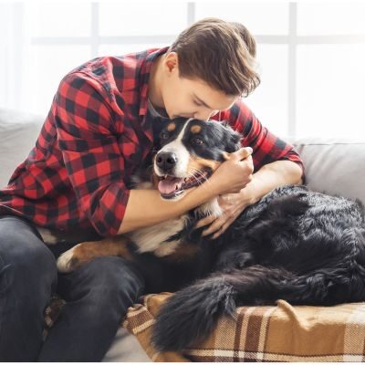 Dog Services - Harbor Country, MI Dog Services - Harbor Country, MI